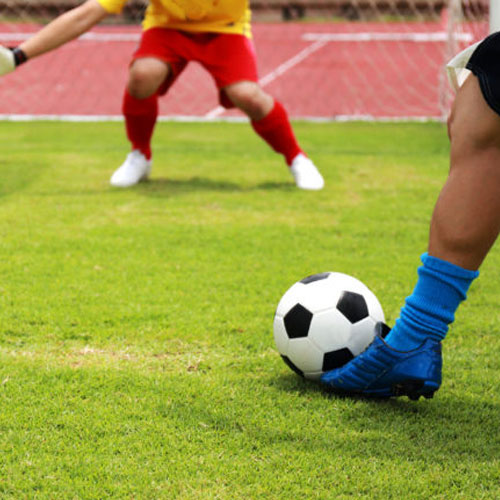 Titanium Sports & Landscaping Turf